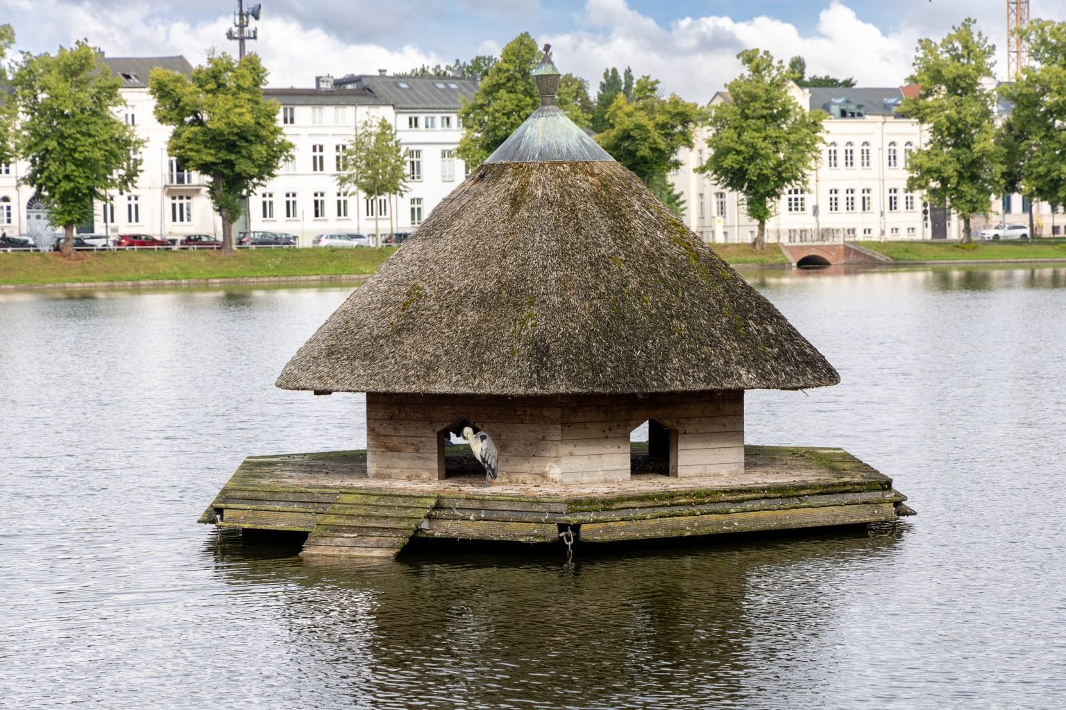 Schwerin2025 0067