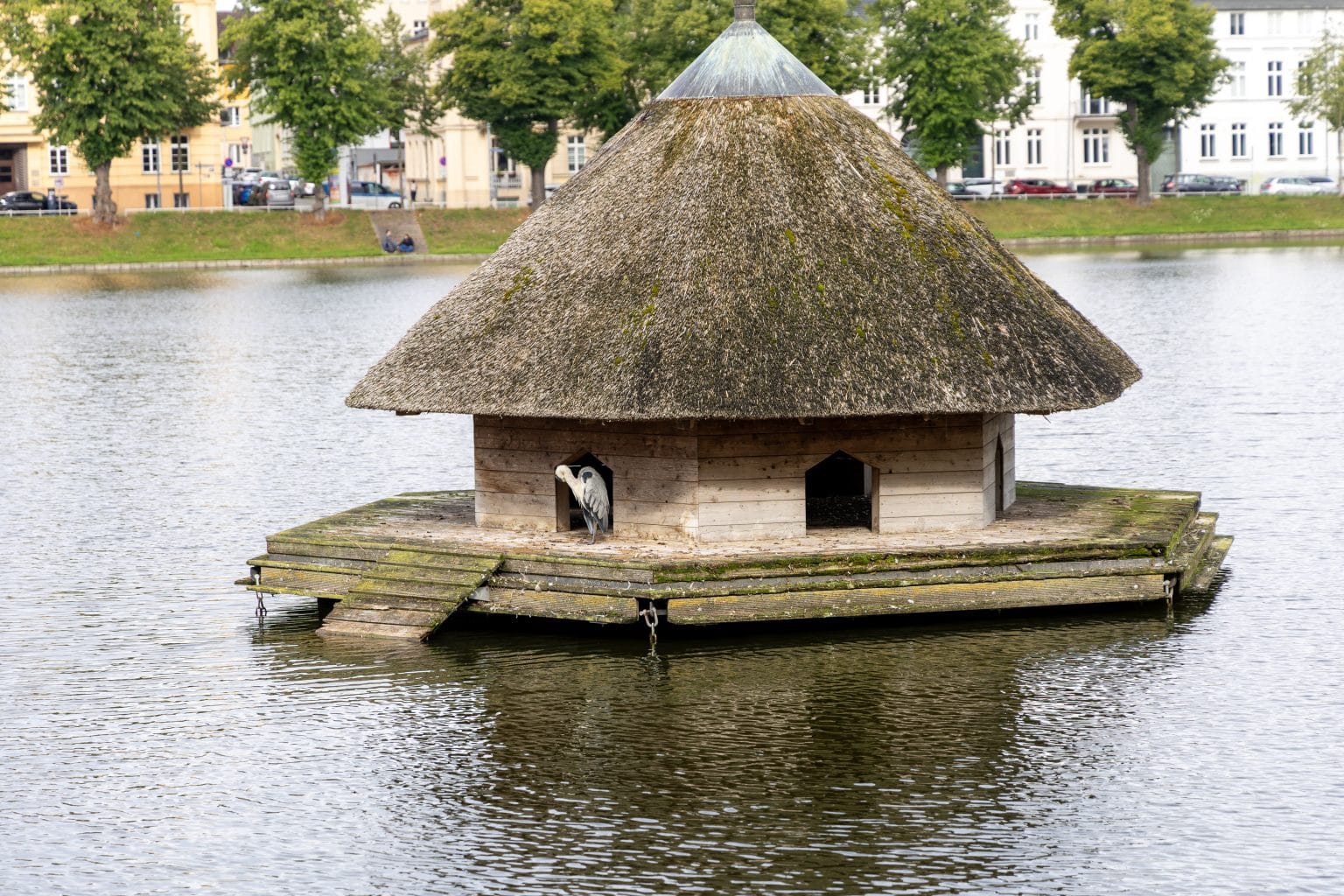 Schwerin2025 0068